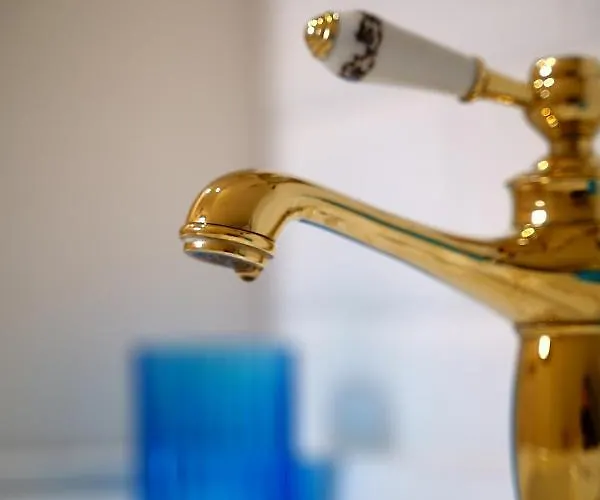 Villa Country House Dziemiany