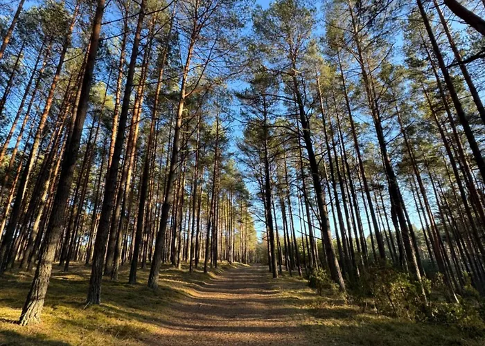 Villa Country House *